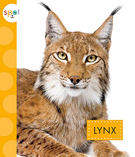 Beispielbild fr Lynx (Spot Wild Cats) zum Verkauf von PlumCircle