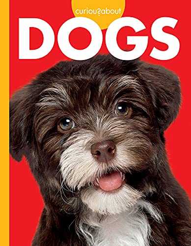 Stock image for Curious about Dogs (Curious about Pets) for sale by Bookmonger.Ltd