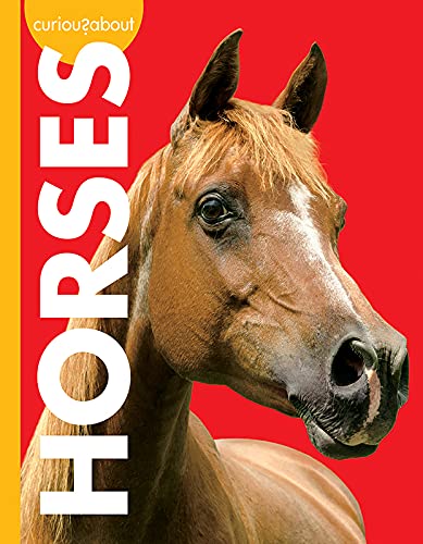 Stock image for Curious about Horses for sale by ThriftBooks-Dallas