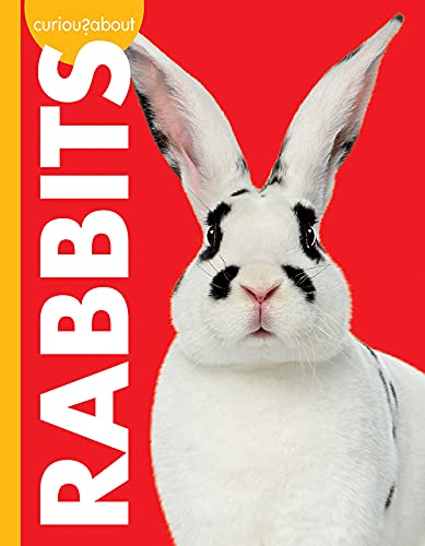 Beispielbild fr Curious About Rabbits zum Verkauf von Blackwell's