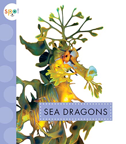 Beispielbild fr Sea Dragons (Spot Ocean Animals) zum Verkauf von WorldofBooks