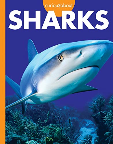 Stock image for Curious about Sharks for sale by ThriftBooks-Dallas