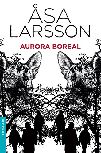 9781681650012: Aurora Boreal / Sun Storm (Spanish Edition)