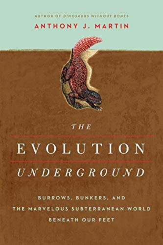 Beispielbild fr The Evolution Underground : Burrows, Bunkers, and the Marvelous Subterranean World Beneath Our Feet zum Verkauf von Better World Books