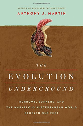 Imagen de archivo de The Evolution Underground : Burrows, Bunkers, and the Marvelous Subterranean World Beneath Our Feet a la venta por Better World Books