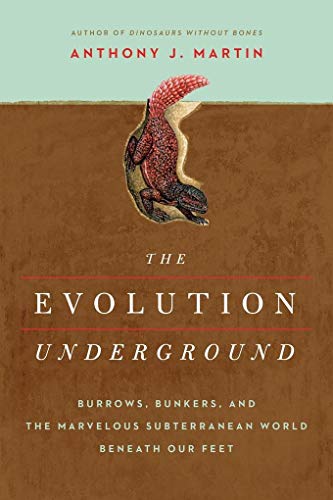 Stock image for The Evolution Underground : Burrows, Bunkers, and the Marvelous Subterranean World Beneath Our Feet for sale by Better World Books