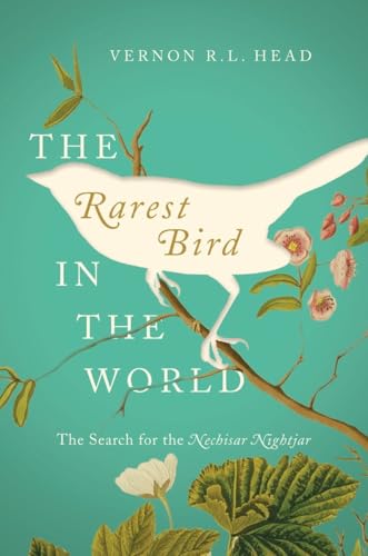 Beispielbild fr Rarest Bird in the World: The Search for the Nechisar Nightjar zum Verkauf von Montana Book Company