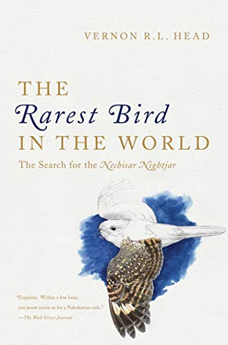 9781681773476: The Rarest Bird in the World: The Search for the Nechisar Nightjar