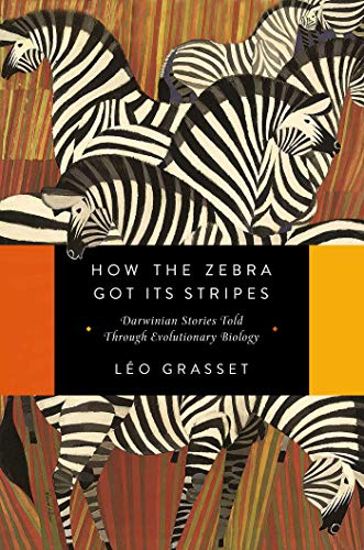 Imagen de archivo de How the Zebra Got Its Stripes a la venta por SecondSale