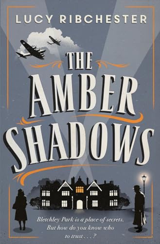 Beispielbild fr The Amber Shadows: A Novel zum Verkauf von Books From California