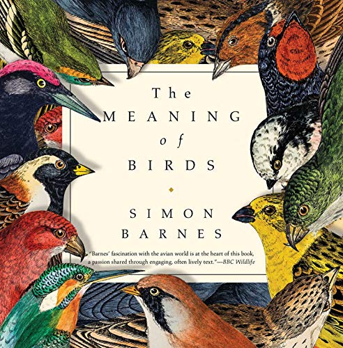 Beispielbild fr The Meaning of Birds zum Verkauf von Better World Books