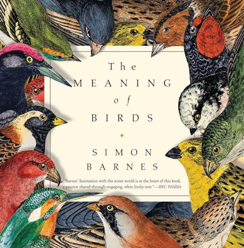 Stock image for The Meaning of Birds for sale by Better World Books