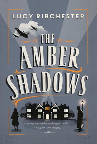 Beispielbild fr The Amber Shadows : A Novel zum Verkauf von Better World Books