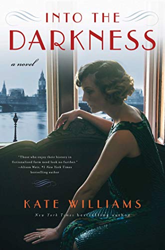 Imagen de archivo de Into the Darkness : A Novel a la venta por Better World Books: West