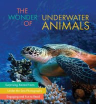 Stock image for The Wonder of Underwater Animals for sale by Jenson Books Inc