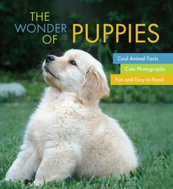 Imagen de archivo de The Wonder of Puppies a la venta por Gulf Coast Books