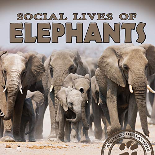 9781681917047: Social Lives of Elephants (Animal Behaviors)