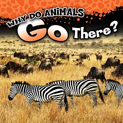 Imagen de archivo de Why Do Animals Go There? a la venta por Better World Books