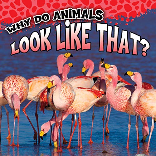 Stock image for Why Do Animals Look Like That? for sale by SecondSale
