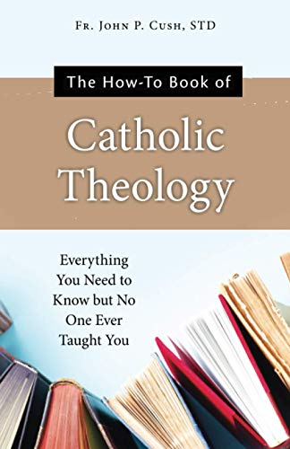 Imagen de archivo de The HowTo Book of Catholic Theology Everything You Need to Know But No One Ever Taught You a la venta por PBShop.store US