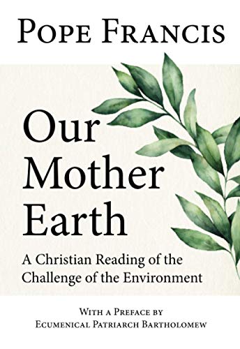 Stock image for Our Mother Earth : A Christian Reading of the Challenge of the Environment for sale by Better World Books: West