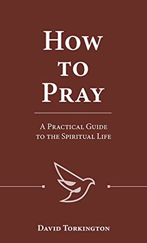 Imagen de archivo de How to Pray: A Practical Guide to the Spiritual Life a la venta por GreatBookPrices