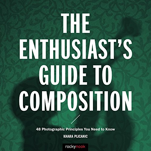 Stock image for The Enthusiast's Guide to Composition: 48 Photographic Principles You Need to Know for sale by ThriftBooks-Atlanta
