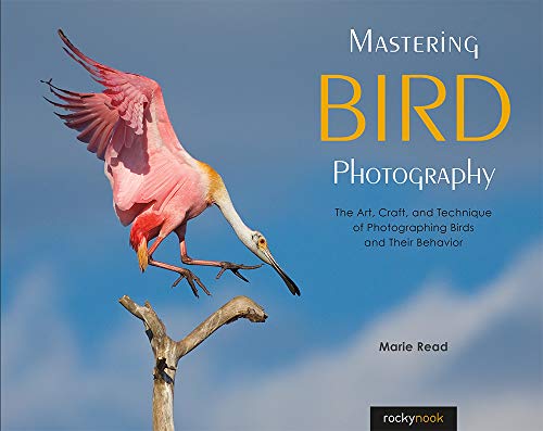 Stock image for Mastering Bird Photography: The Art, Craft, and Technique of Photographing Birds and Their Behavior for sale by GF Books, Inc.