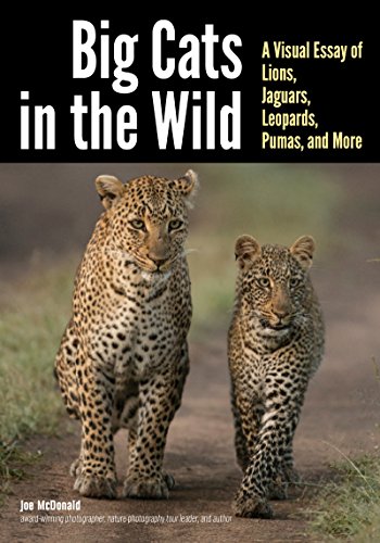 Imagen de archivo de Big Cats in the Wild: A Visual Essay of Lions, Jaguars, Leopards, Pumas, and More a la venta por ThriftBooks-Dallas