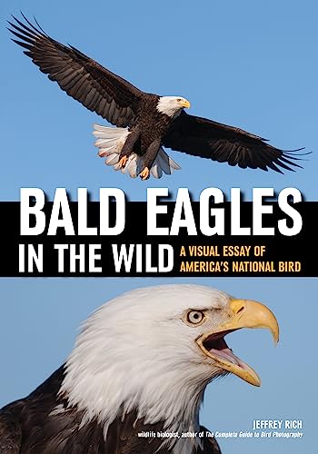 Stock image for BaldEaglesInTheWild Format: Book Book for sale by INDOO