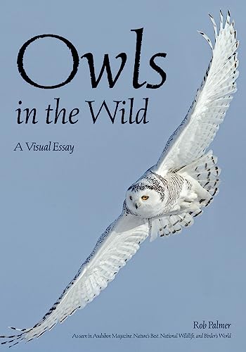 Stock image for Owls In The Wild: A Visual Essay for sale by SecondSale