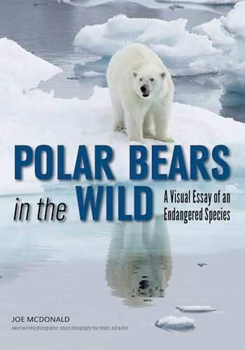 Stock image for Polar Bears in the Wild : A Visual Essay of an Endangered Species for sale by Better World Books