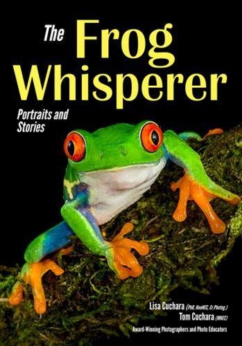 Imagen de archivo de Frog Whisperer : Portraits and Stories a la venta por Better World Books
