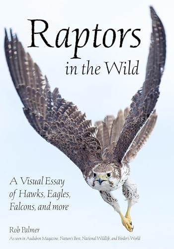 Beispielbild fr Raptors in the Wild : A Visual Essay of Hawks, Eagles, Falcons, and More zum Verkauf von Better World Books