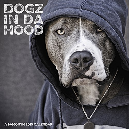 9781682091678: 2018 Dogz in da Hood Wall Calendar (Day Dream)