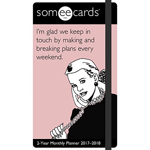 9781682094006: Someecards 2017-2018 2-Year Monthly Planner