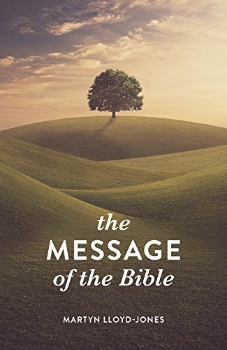 Stock image for The Message of the Bible (25-pack) for sale by GF Books, Inc.