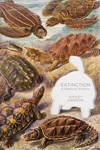 Stock image for Extinction: A Radical History for sale by GetitBooks