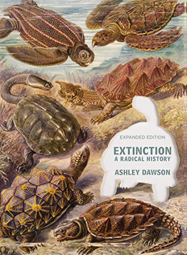 Beispielbild fr Extinction Format: Paperback zum Verkauf von INDOO