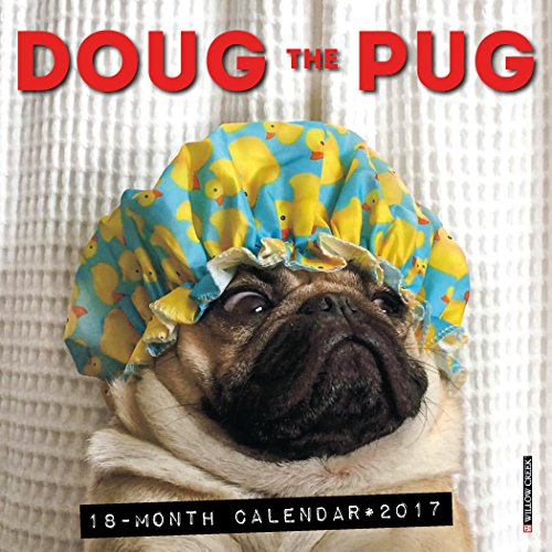 9781682343210: 2017 Doug the Pug Mini Wall Calendar