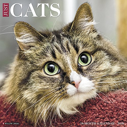 Just Cats 2018 Wall Calendar By Willow Creek Press Willow