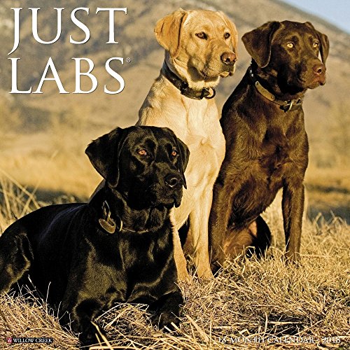 Just Labs 2018 Calendar By Willow Creek Press Willow