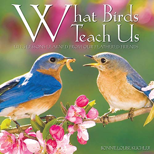 Beispielbild fr What Birds Teach Us zum Verkauf von BooksRun