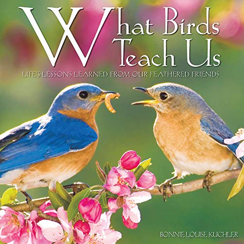 Imagen de archivo de What Birds Teach Us a la venta por BooksRun
