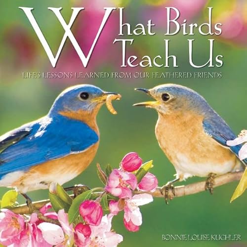9781682347331: What Birds Teach Us: Life's Lessons Learned from Our Feathered Friends