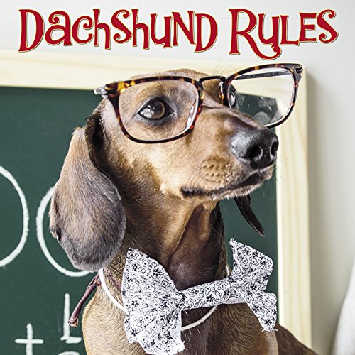 Imagen de archivo de Dachshund Rules a la venta por Jenson Books Inc