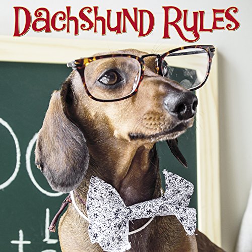 Stock image for Dachshund Rules for sale by Jenson Books Inc