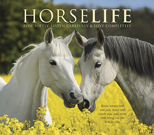 Imagen de archivo de Horselife a la venta por SecondSale