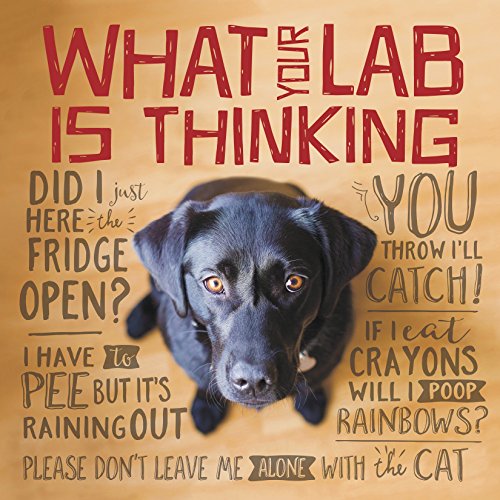 Beispielbild fr What Your Lab Is Thinking zum Verkauf von ThriftBooks-Dallas