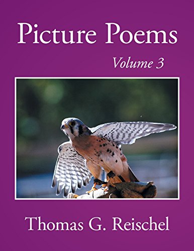 Beispielbild fr Picture Poems Volume 3 zum Verkauf von KAKBooks